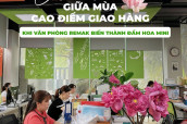Chill Cùng Sen Giữa Mùa Cao Điểm Giao Hàng – Khi Văn Phòng Remak Biến Thành Đầm Hoa Mini
