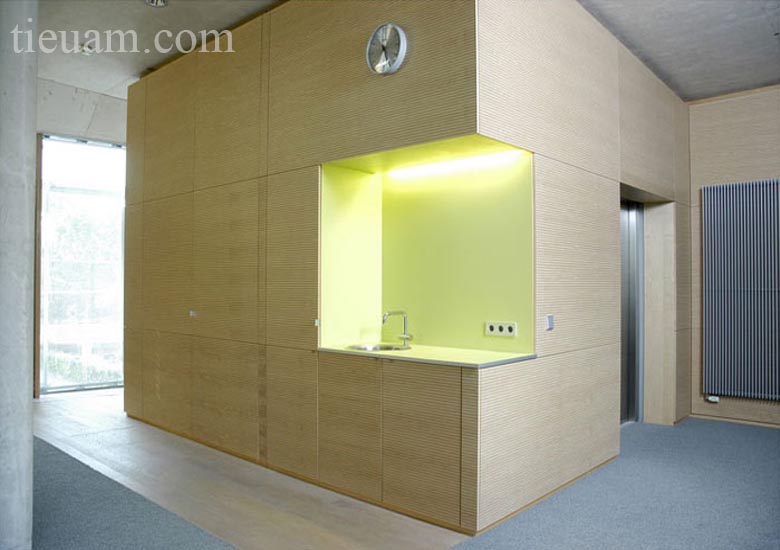 Gỗ tiêu âm soi rãnh 2