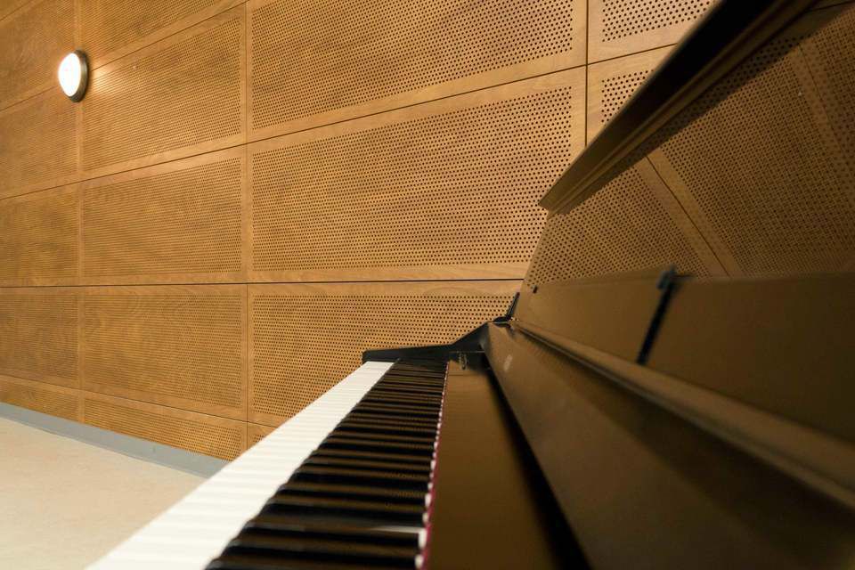 Gỗ tiêu âm đục lỗ 4