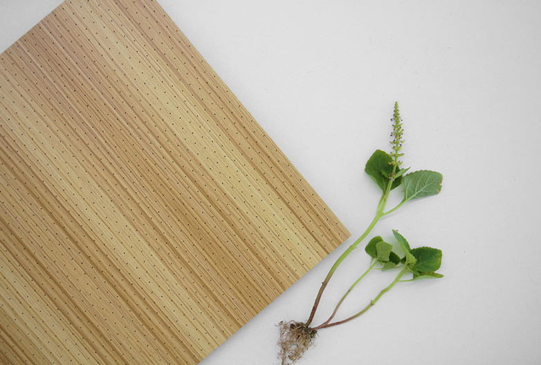 Gỗ tiêu âm Remak® Micro Hole 1