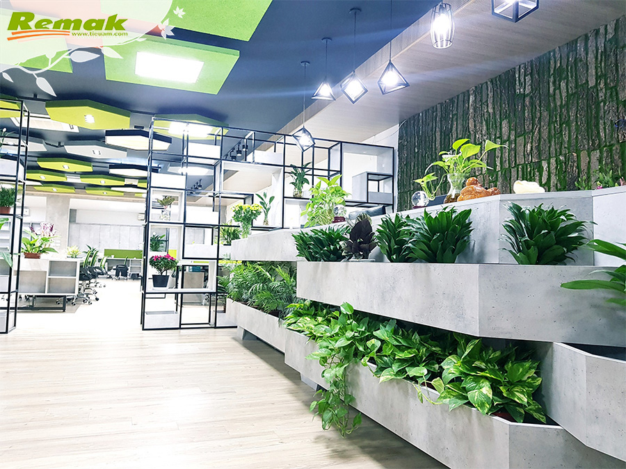remak®-green-office-van-phong-xanh