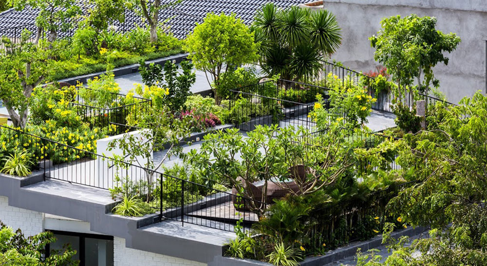 Green roof (khu vườn trên mái) – giải pháp cách âm cách nhiệt hiệu quả, bền vững, gần gũi với thiên nhiên