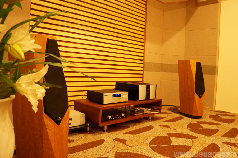 Phòng nghe nhạc Hi-end - Ảnh 4